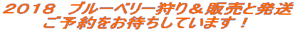 ��M�B�E�厭�� 