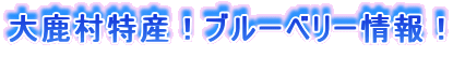 大鹿村特産!ブルーベリー情報!